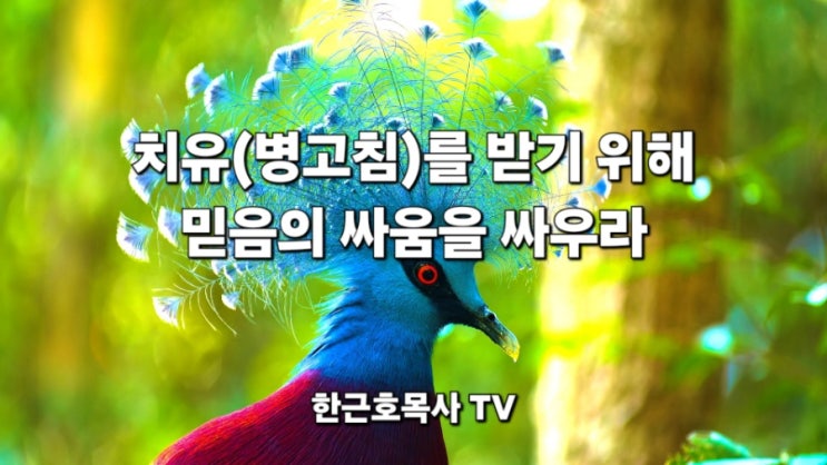  [치유학교] 치유(병고침)를 받기 위해, 믿음의 싸움을 싸우라.(엡6:16)