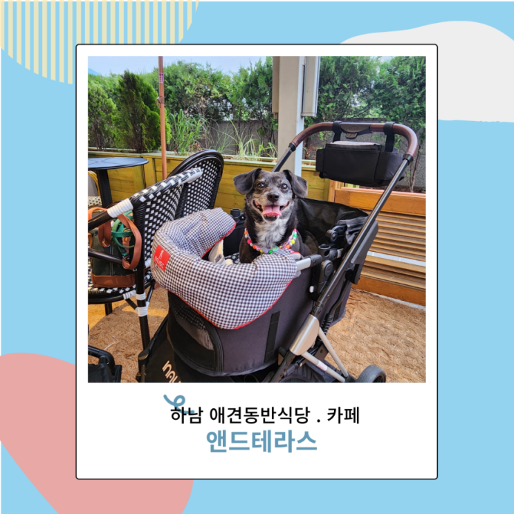 하남 스타필드 애견동반식당, 카페 앤드테라스 야외운동장도 있지 하남 스타필드 애견동반식당, 카페 앤드테라스 야외운동장도 있지