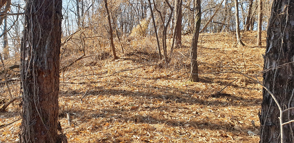 성재산 사진 5