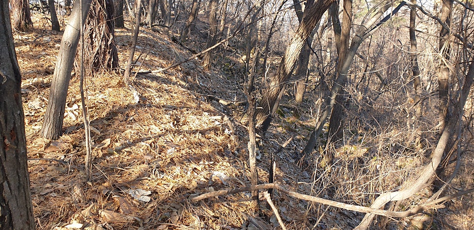 성재산 사진 6