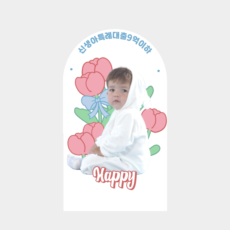  신생아 특례대출로 9억이하 주택 찾기