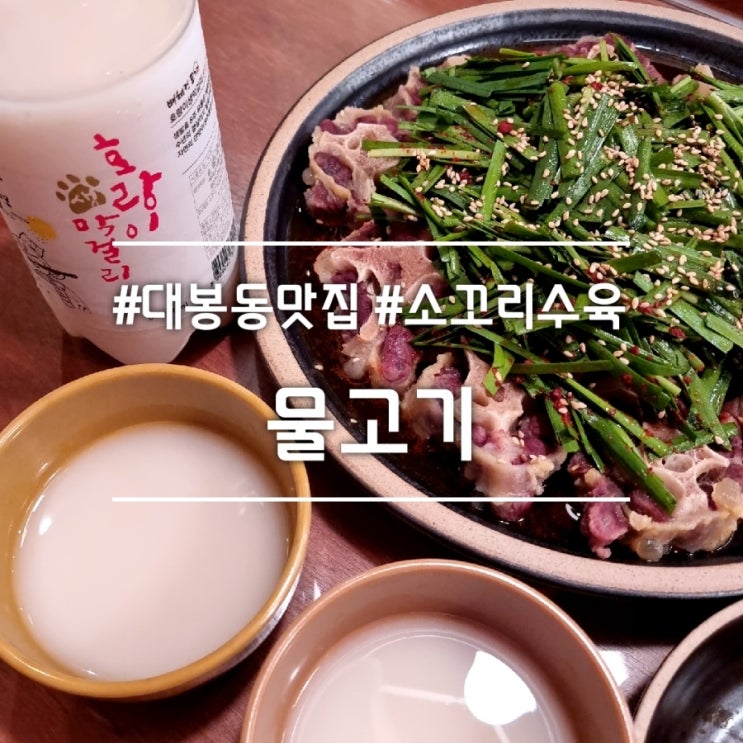  대구 대봉동 술집] 물고기 || 꼬리수육에 막걸리 한 잔! 김광석거리 맛집