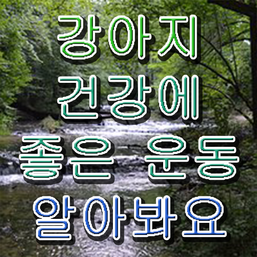  반려견운동지도사 자격증 1급 후기 필수 정보 여기에 .