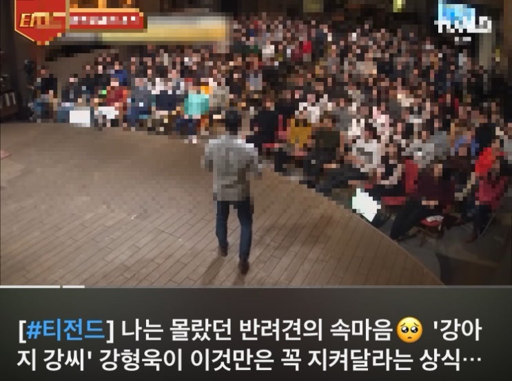  강아지 카밍시그널 관련 공부 영상
