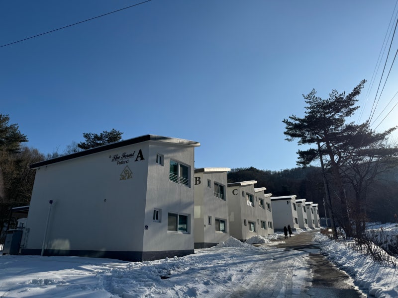 사진 7
