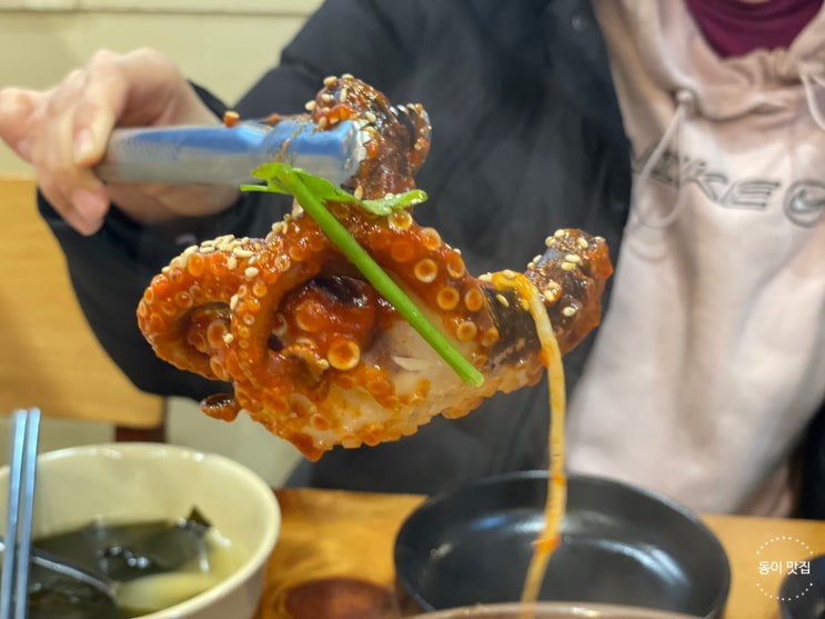  [위례] 성남에서 숨은 맛집 위례 해물찜 맛집 아구의 정석