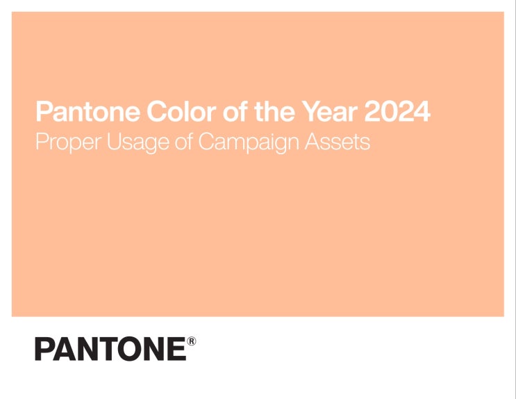 Pantone 팬톤 2024 컬러 : 피치 퍼즈 Peach Fuzz Pantone 13-1023 (ft. 2024 올해의색)
