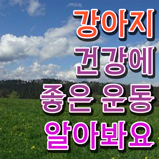  반려견운동지도사 자격증 준비방법 알아보셨나요 ?!