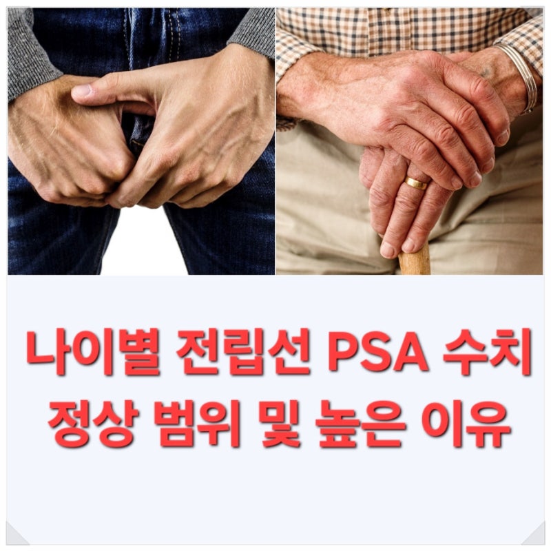 나이별 전립선 PSA 수치 정상 범위 및 높은 이유 : 네이버 블로그