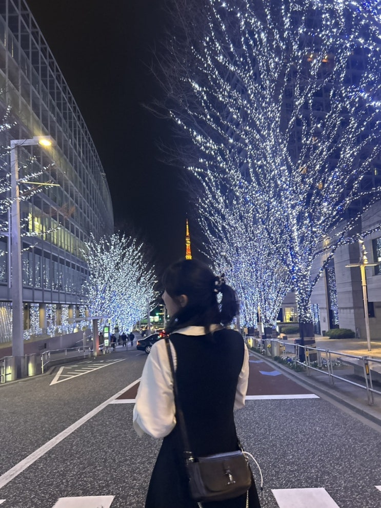 Tokyo, ㅣ 도쿄 <b>연말</b>연초, 날씨, 도쿄 맛집, 도쿄 <b>디즈니</b>씨... 