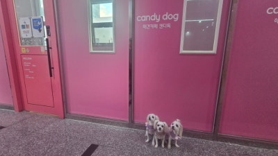 사진 2