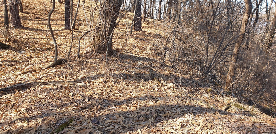 성재산 사진 4