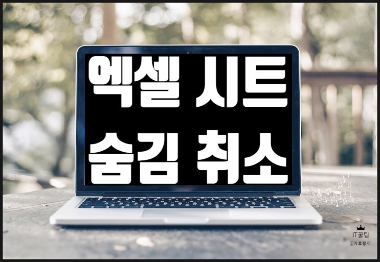 엑셀 시트 탭 숨기기 및 취소 이렇게 하면 돼요