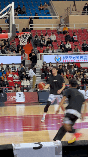 20240106 울산 <b>현대모비스</b> VS 수원 KT소닉붐  직관후기