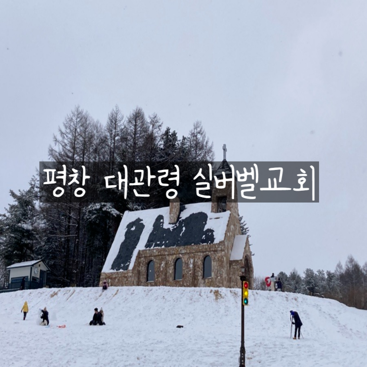  강원도 평창 가볼만한곳 대관령 실버벨교회 동물농장