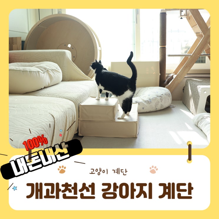 개과천선 강아지 레더 방수 계단 사각형 추천이유 5가지!!
