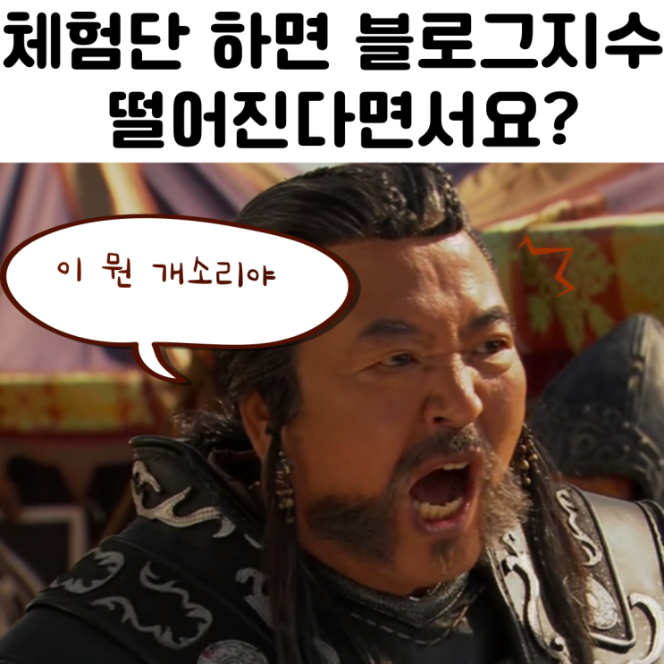  체험단 후 블로그 지수 변화