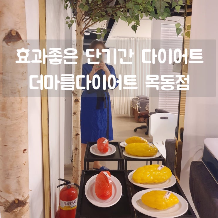  효과좋은 단기간 다이어트 더마름다이어트 목동점 솔직후기 :: 1회차 체지방 1kg감량