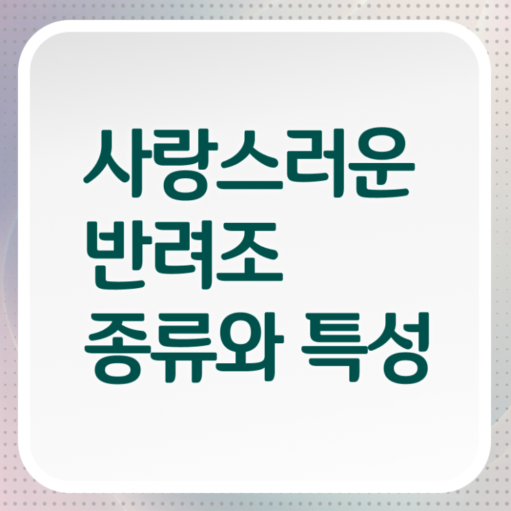  반려조관리사 자격증 취득방법 이것만 보세요 !!!