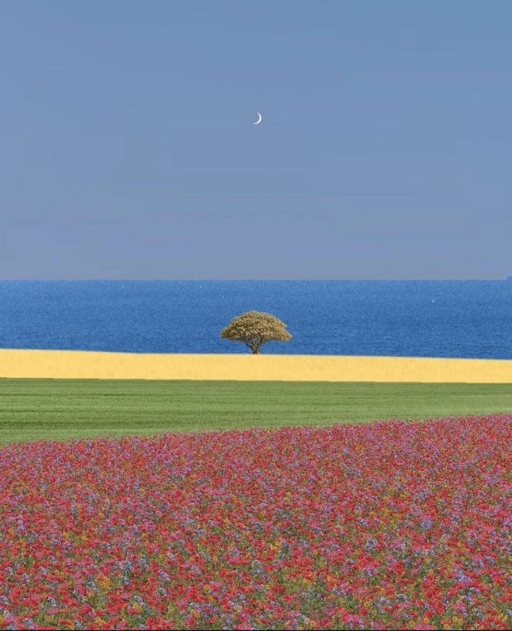   오늘의 생활정보 (2024-01-08, 월)