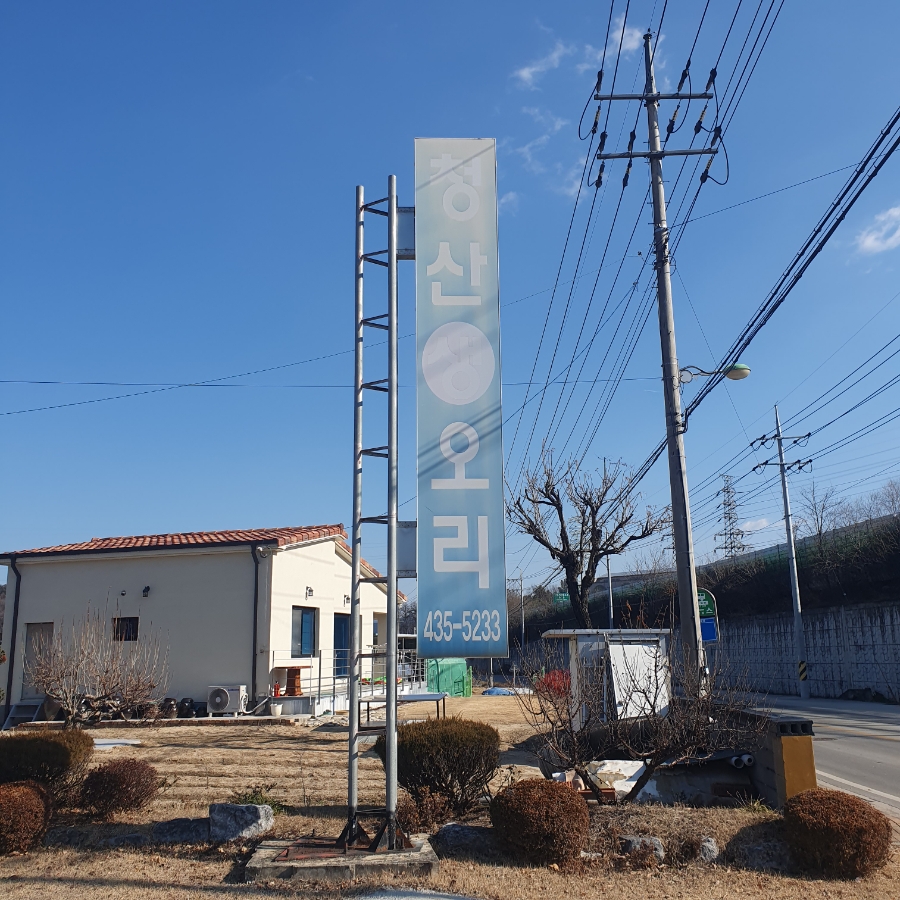 Cheongsansaengori photo 1