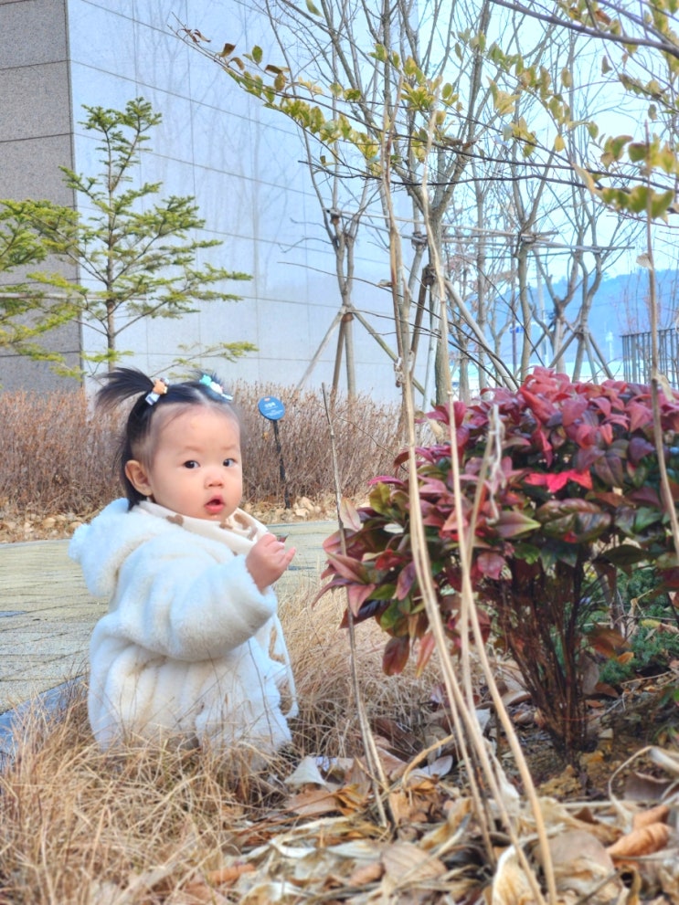  13개월아기 발달특징 기록 분리수면 밤잠 깸 이앓이증상