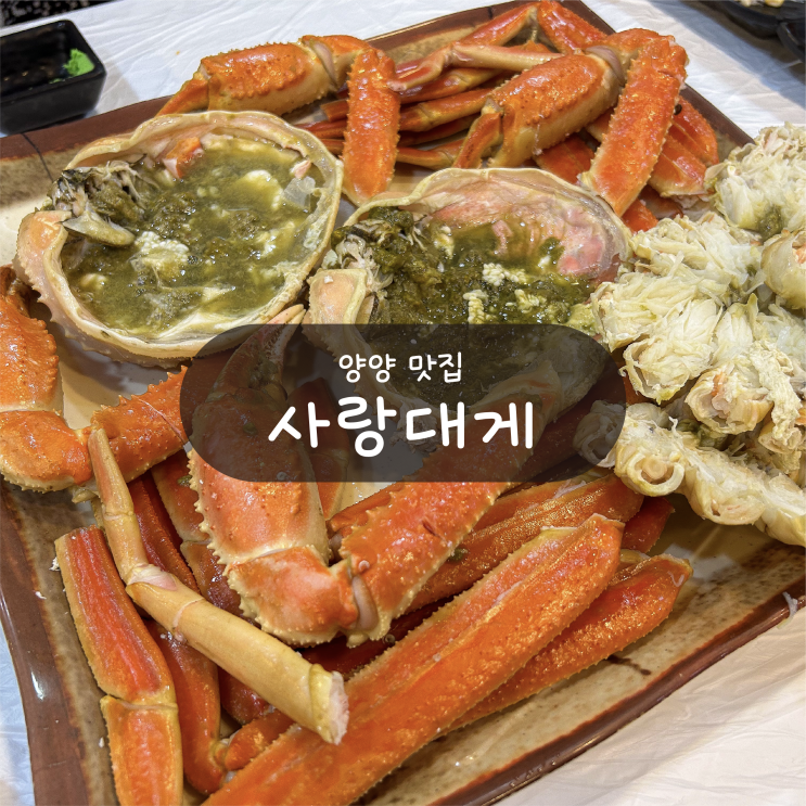  [강원도 양양 맛집] 사랑대게 - 양양 쏠비치 근처 대게 맛집 내돈내산 후기
