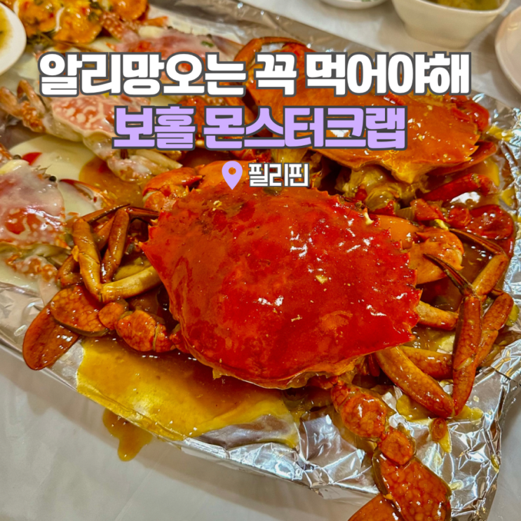  필리핀 보홀 알로나비치맛집 몬스터크랩 여행가면 알리망오는 꼭!