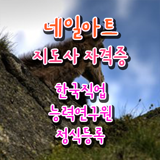  네일아트지도사 자격증 온라인 취득 살펴보아요 ~