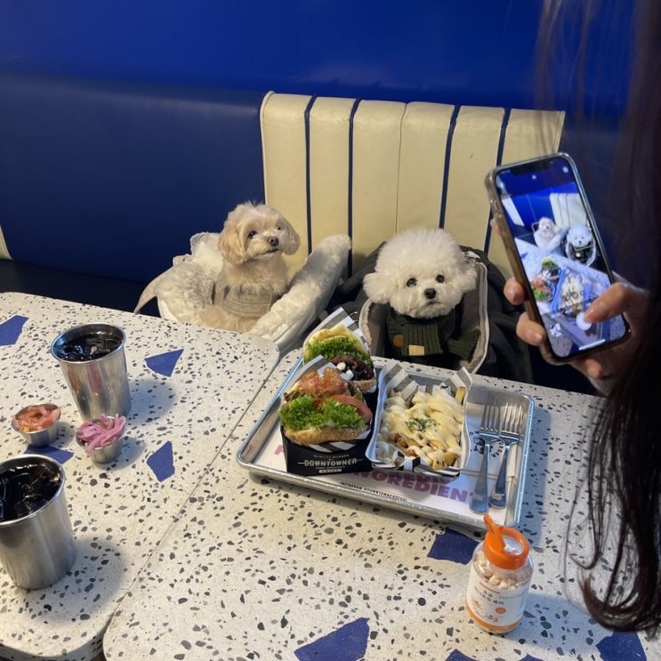  압구정 로데오 다운타우너 애견 동반 수제 버거 맛집