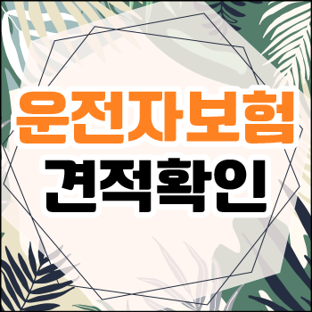  운전자보험료계산 및 운전자대리보험 그리고 운전자보험한문철 가입절차 알아보기