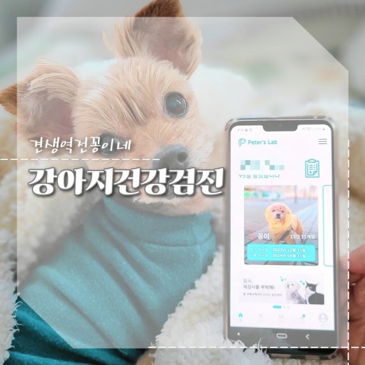  강아지 건강검진 비용,시간 절약 간편한 피터스랩 반려견 유전자검사 후기
