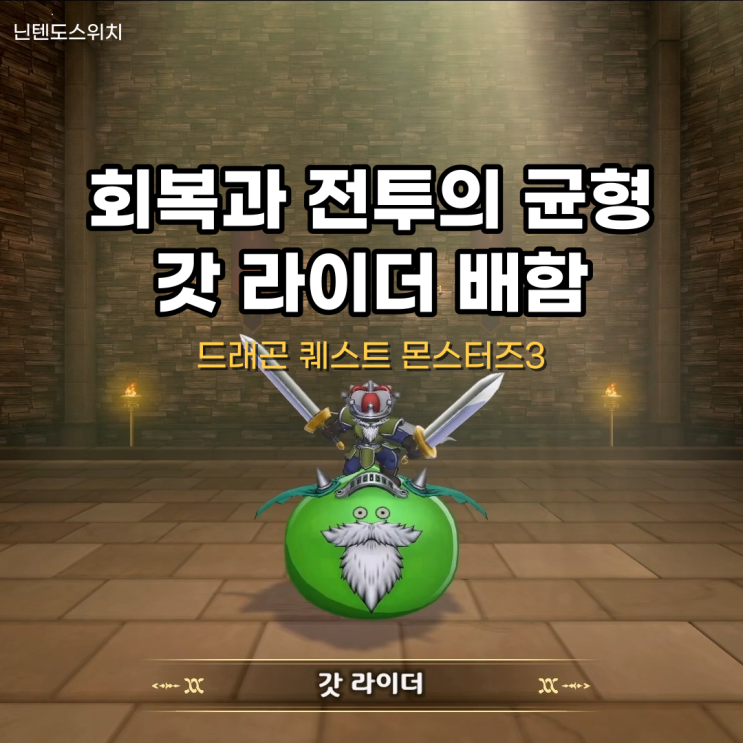  갓 라이더 배합 - 회복과 전투의 균형 몬스터, 드래곤퀘스트 몬스터즈 3 공략팁