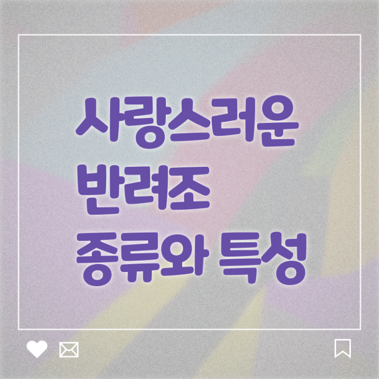  반려조관리사 1급 자격증 후기 알고 싶은 정보 여기에 ?!