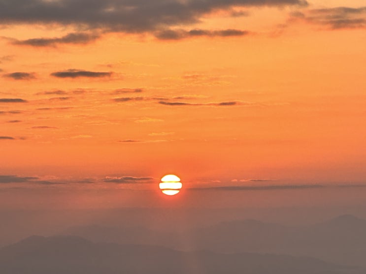  경기 성남 청계산 새해 해돋이 등산