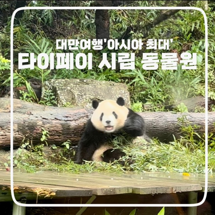 [대만] 타이페이 시립 동물원; 아시아 최대 동물원 아이도 어른도 대만여행 추천 !