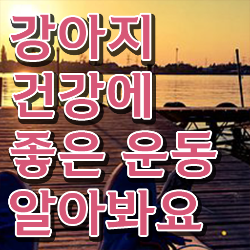  반려견운동지도사 자격증 온라인 취득 궁금증 해결 .