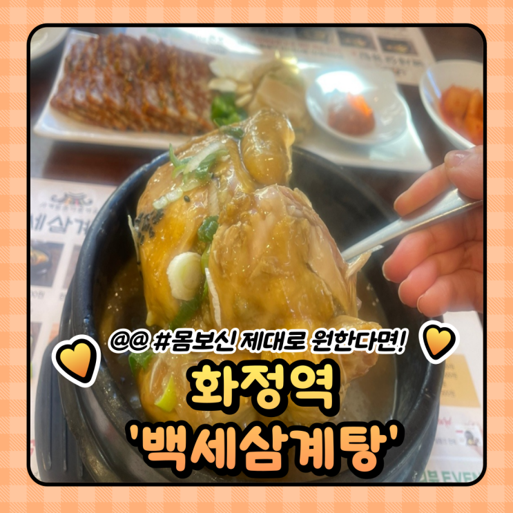  화정역맛집 몸보신 제대로 되는 보양식 황금빛 백세삼계탕