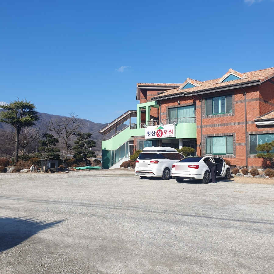Cheongsansaengori photo 2
