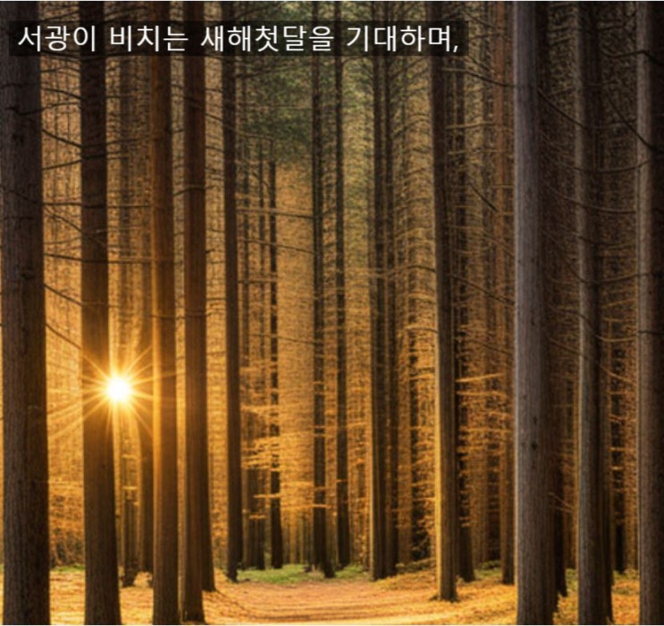  공모주 새해24년 첫달중순 즈음 공모주4종 소개