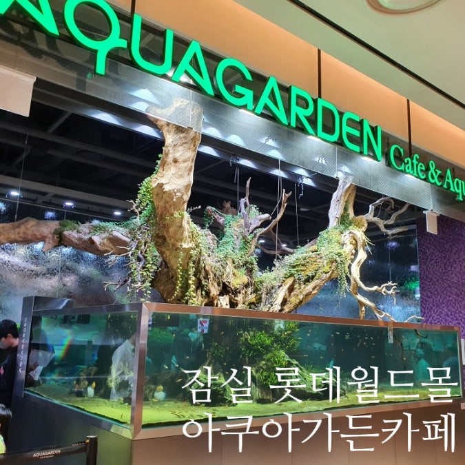  서울 잠실 수족관카페 아쿠아가든 롯데월드몰점 커피와 아쿠아리움을 동시에