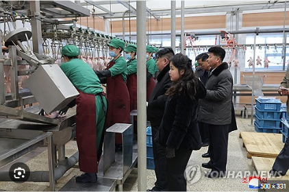 <b>김정은</b> 현대식 <b>닭공장</b> / 광천<b>닭공장</b> 시찰 딸 김주애 동행