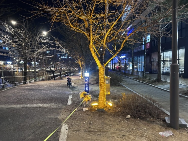  별내 별가람역 강아지와 산책하기 좋은 곳 덕송천