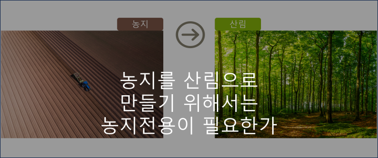  농지를 산림으로 만들기 위해서는 농지전용이 필요한가