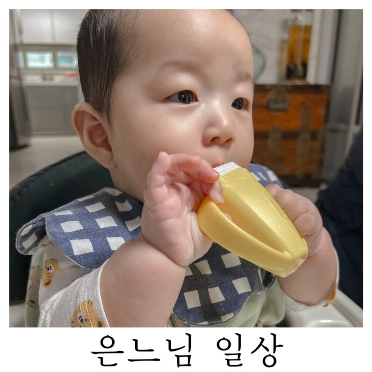  [은느님 일상]나도 어쩔 수 없는 도치 맘이었다