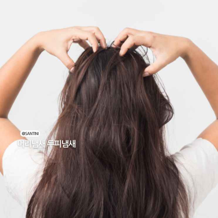 정수리 머리 냄새 두피냄새 원인 및 바른 관리방법 정수리 머리 냄새 두피냄새 원인 및 바른 관리방법