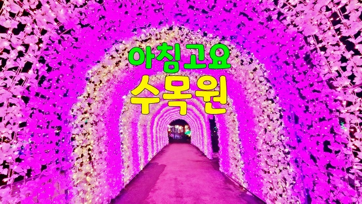 가평 아침고요수목원 불빛축제 오색별빛정원전 (가평 데이트코스 아침고요수목원 야경, 야간개장) 가평 아침고요수목원 불빛축제 오색별빛정원전 (가평 데이트코스 아침고요수목원 야경, 야간개장)