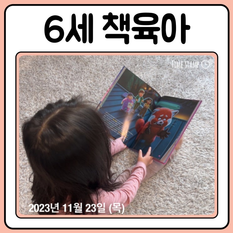  6세 책육아 영어책 한글책 추천