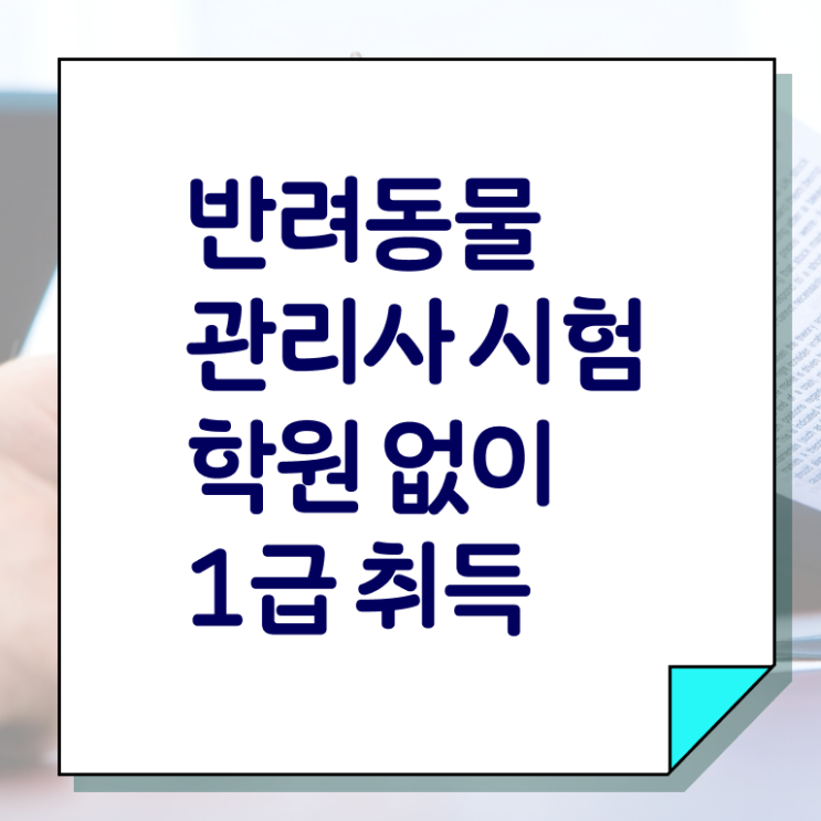  반려동물 관리사 학원 1급 확인하고 가세요 ?!