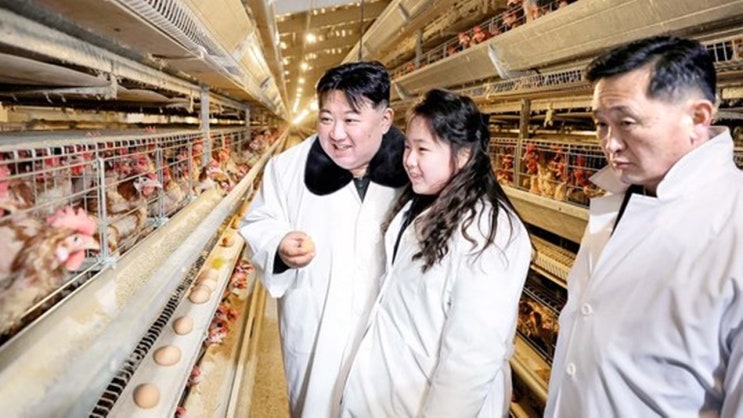 이번엔 딸과 <b>닭공장</b> 간 <b>김정은</b> "고기·알 쏟아지니 흐뭇"